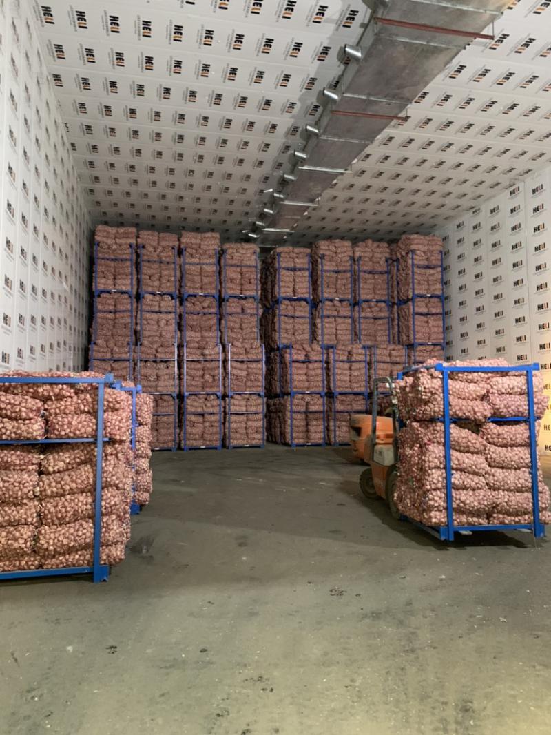 大蒜冷庫儲存技術(shù)要點(diǎn)