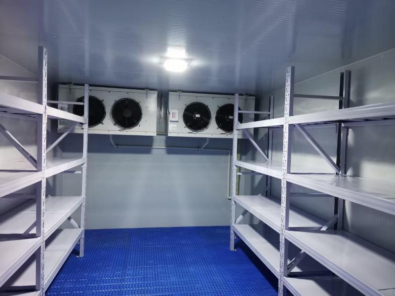 智慧冷鏈基石：冷庫(kù)類型精準(zhǔn)選擇指南與應(yīng)用場(chǎng)景深度解析